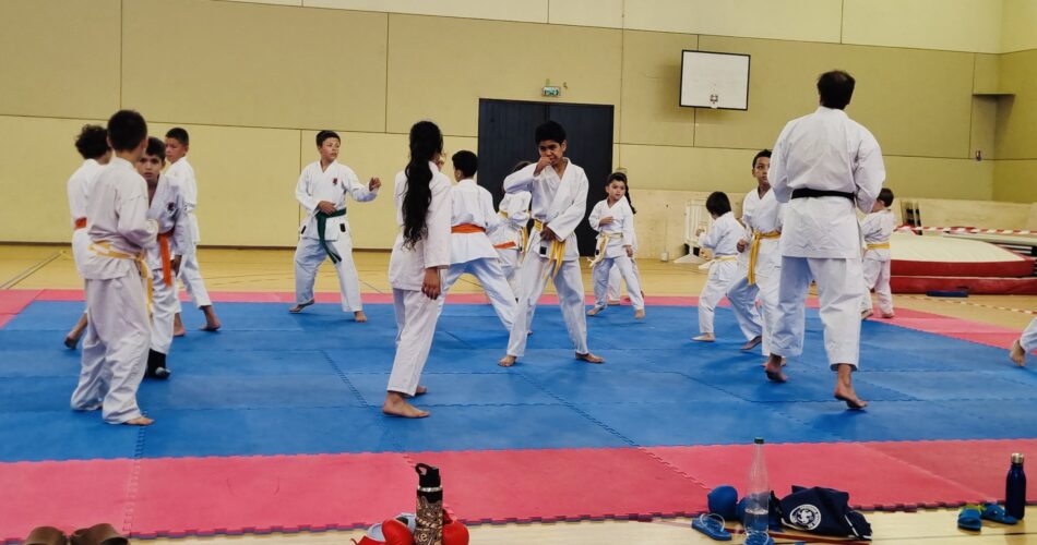 Karaté Kids, le cours des 6-11 ans